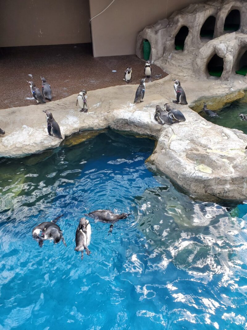 水族館