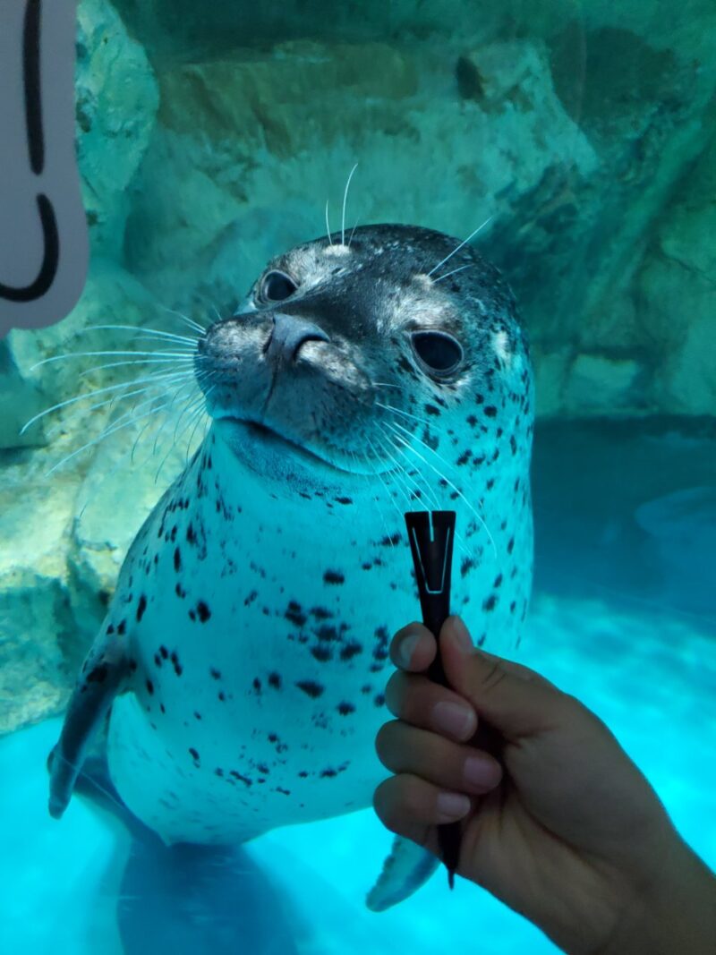 水族館