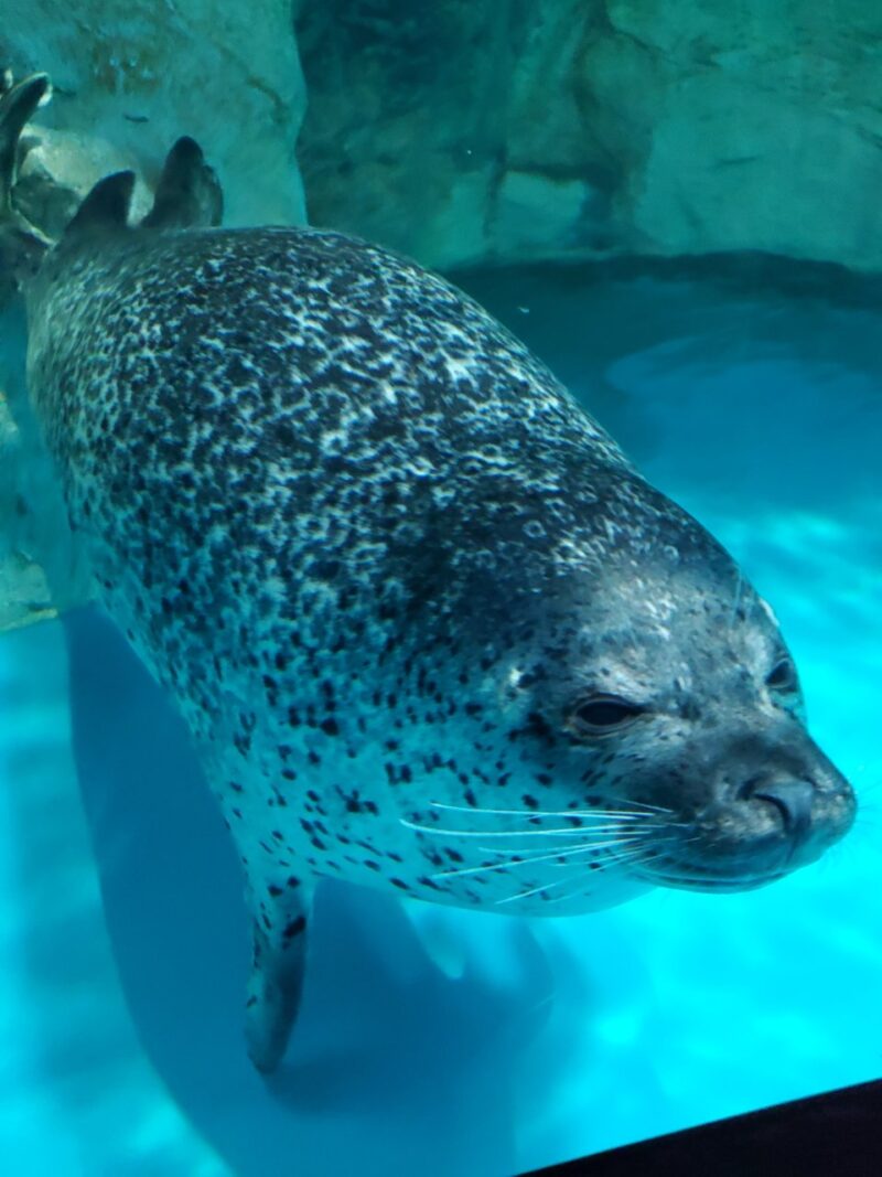 水族館