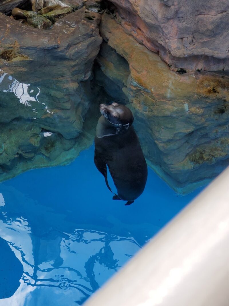 水族館