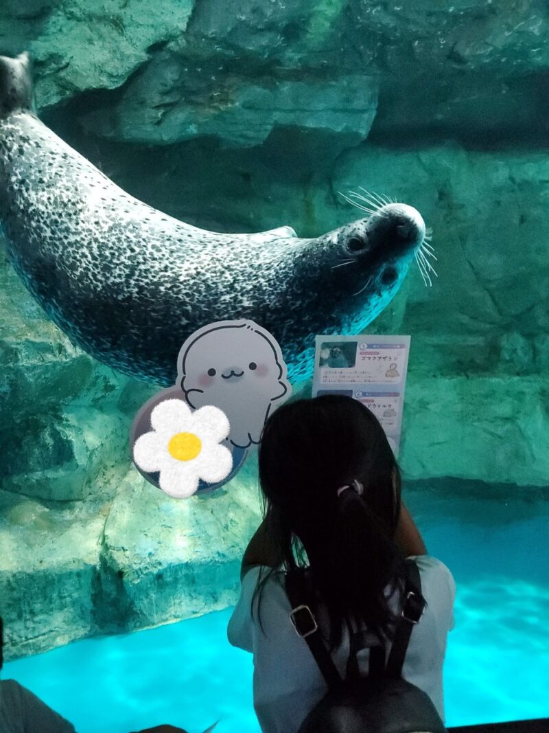 水族館