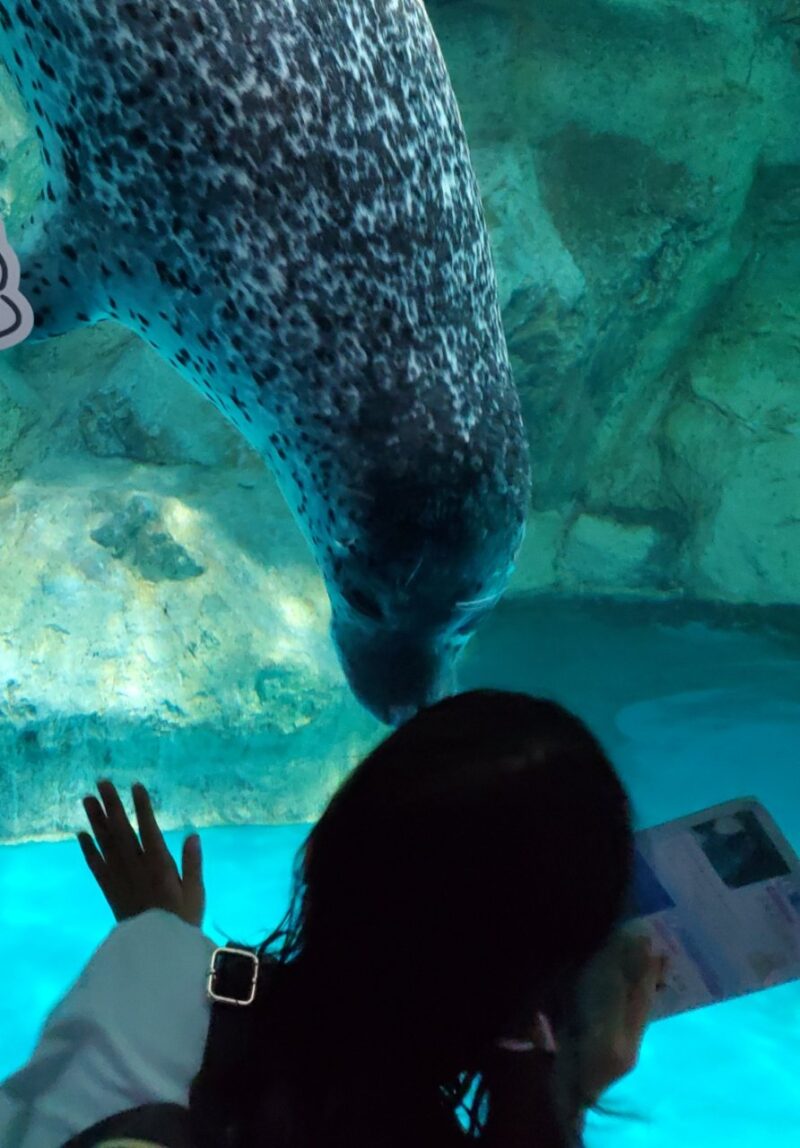 水族館