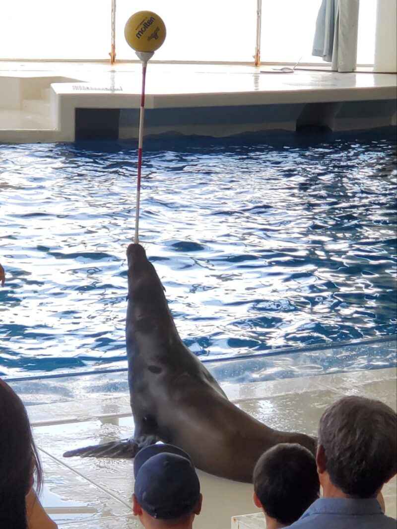 水族館