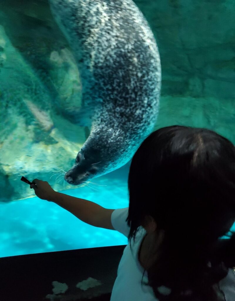 水族館