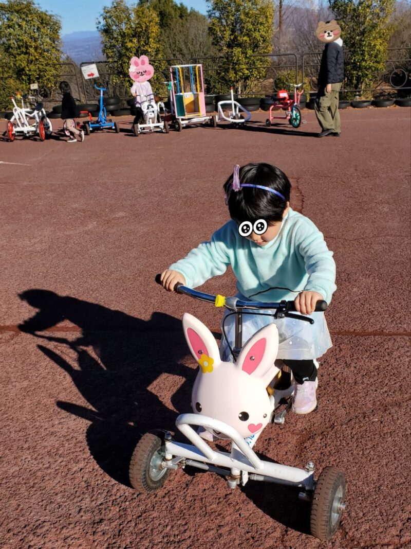 おもしろ自転車